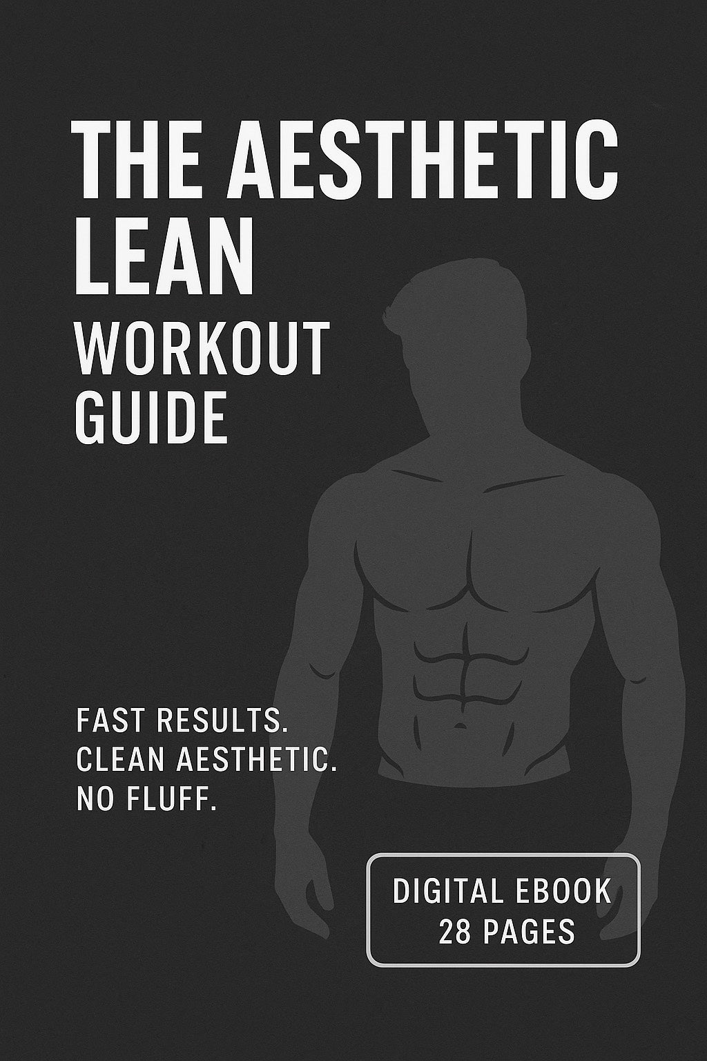 Lean Aesthetic Workout Guide